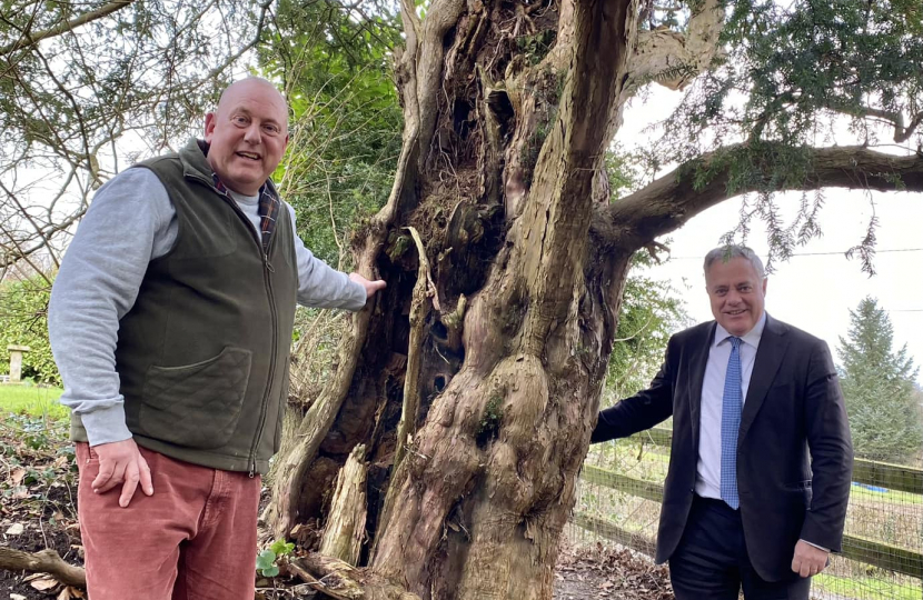 Simon Baynes MP with Neil Hawkey and the 600-year-old yew
