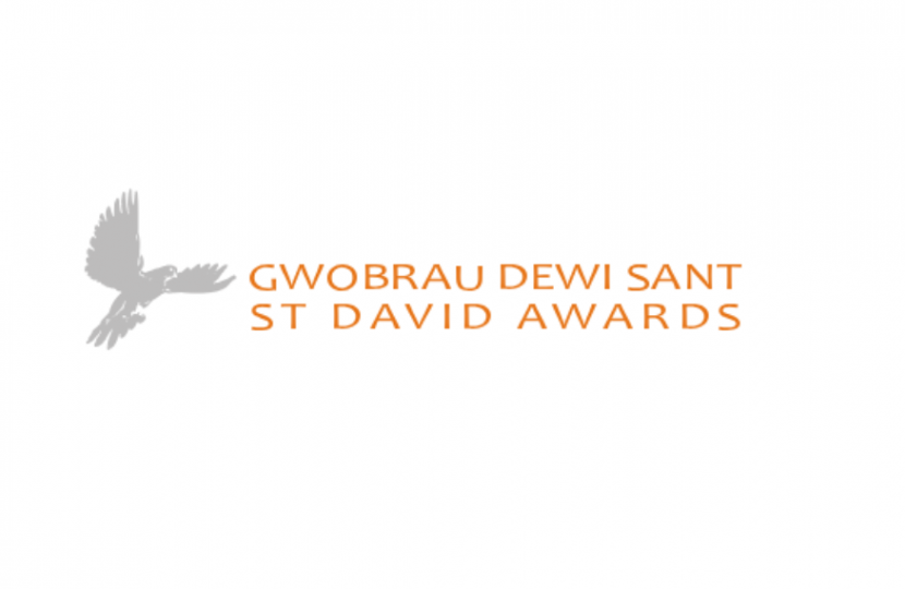 St David Awards Logo