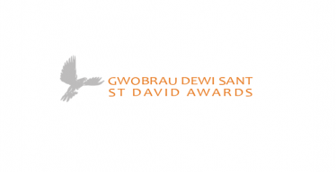 St David Awards Logo